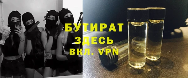 прущие грибы Бородино