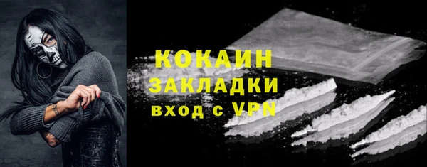 прущие грибы Бородино