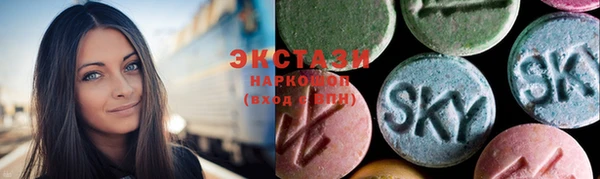 индика Магас