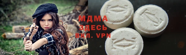 прущие грибы Бородино