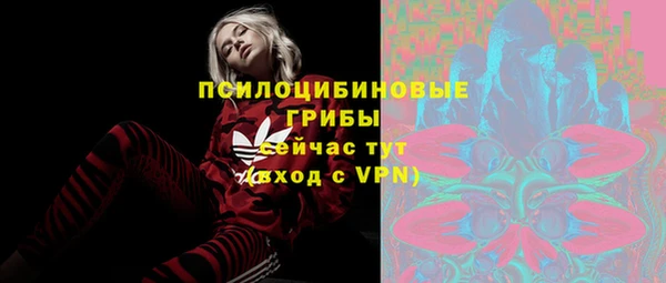 индика Магас