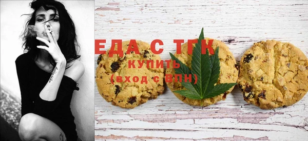 индика Магас