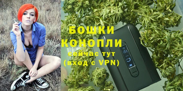 индика Магас