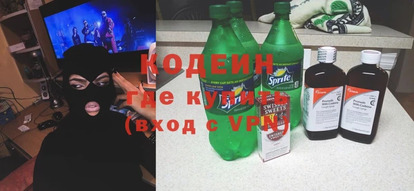 прущие грибы Бородино